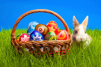 Zdroj: Isifa/Thinkstock